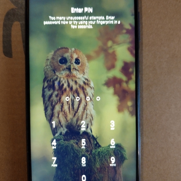 Xiaomi Redmi Note 9s - Picture 3 of 4